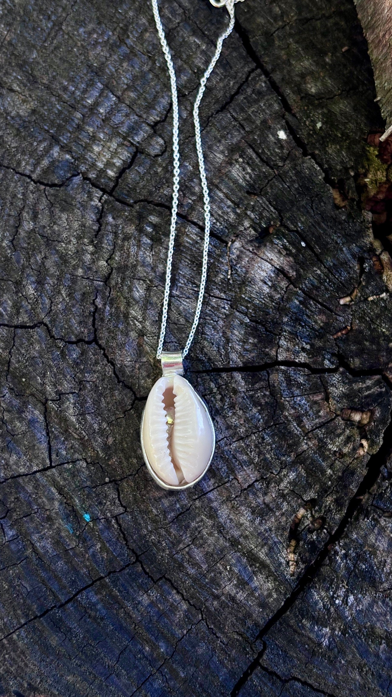 Cowery shell necklace