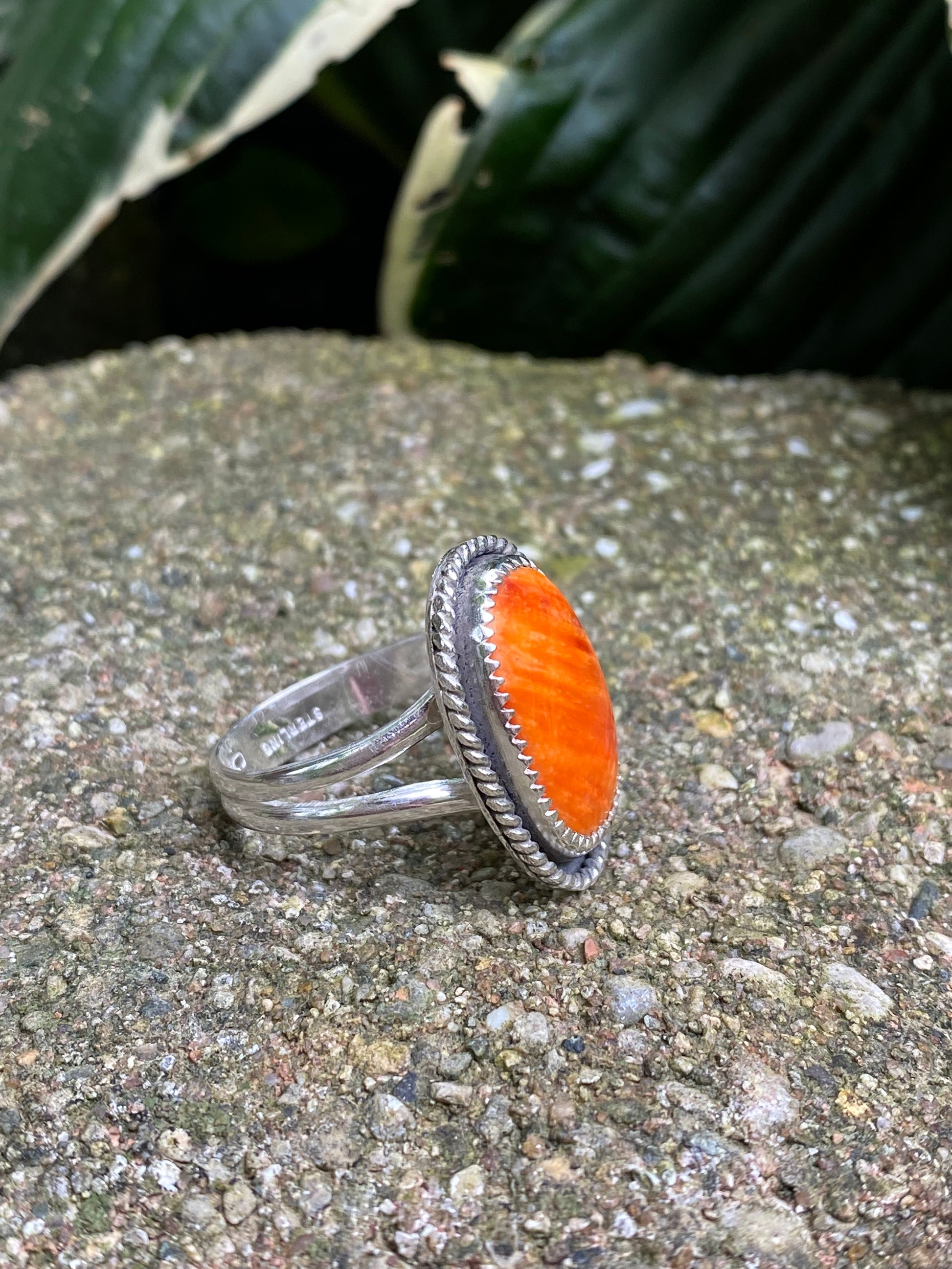 Spiny Oyster ring - collectionsbytracy.com