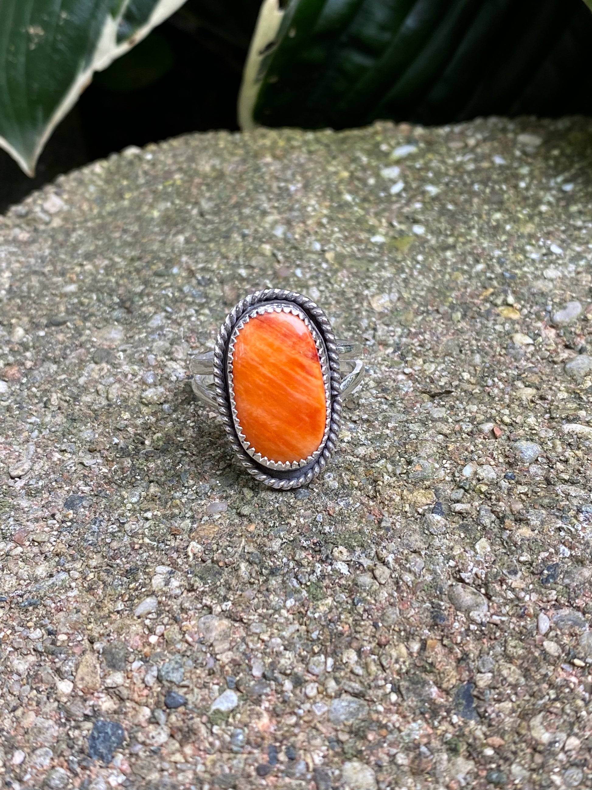 Spiny Oyster ring - collectionsbytracy.com