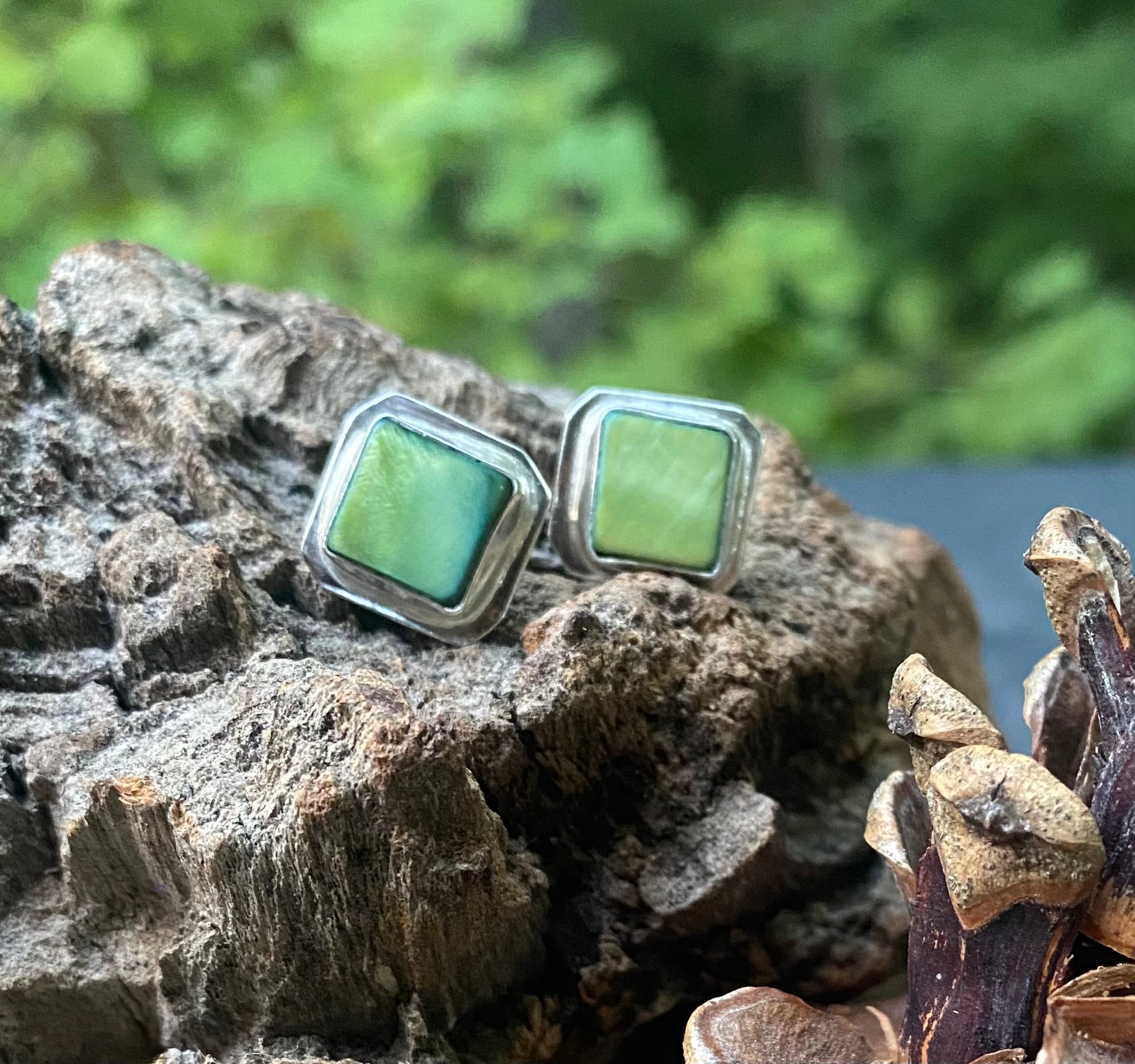 Green shell post earrings - collectionsbytracy.com