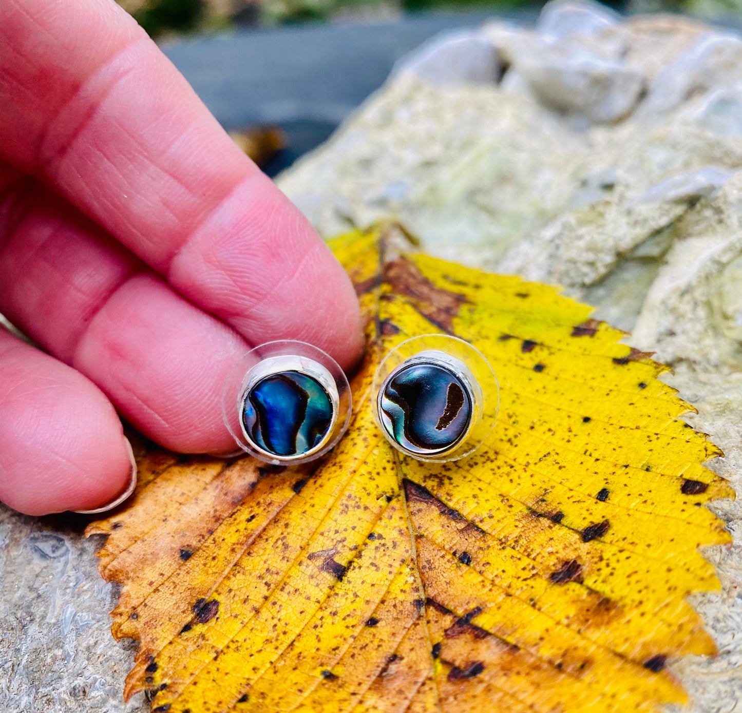 Abalone shell stud earrings - collectionsbytracy.com
