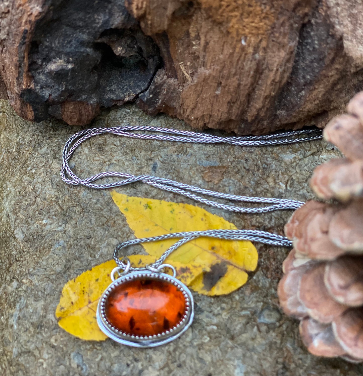 Baltic Amber necklace - collectionsbytracy.com