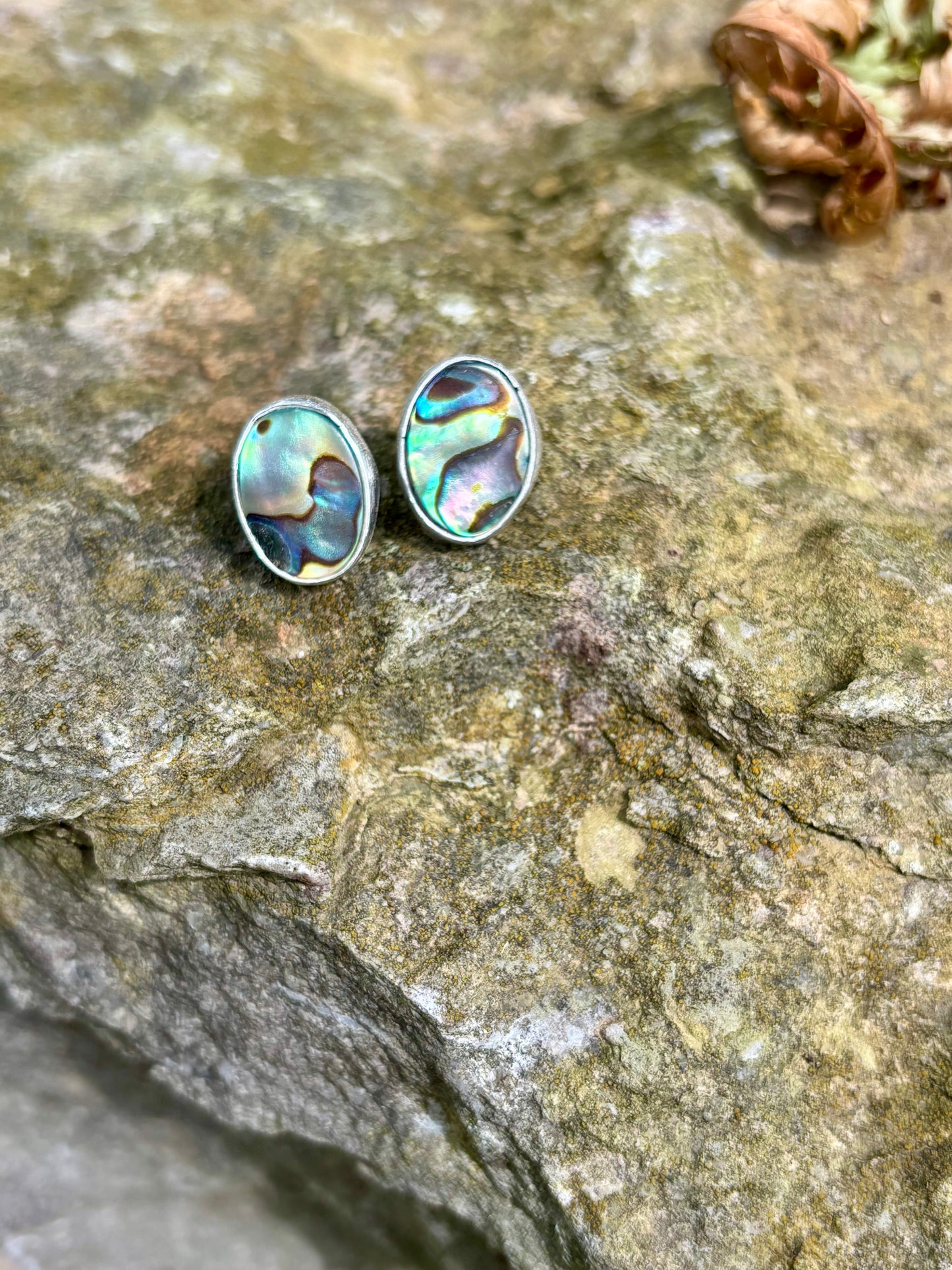 Abalone shell post earrings - collectionsbytracy.com