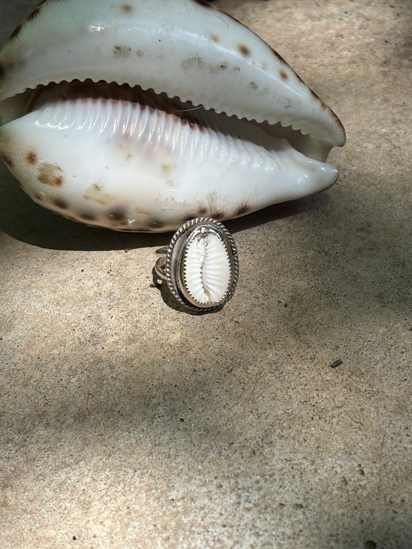 Cowry shell ring - collectionsbytracy.com