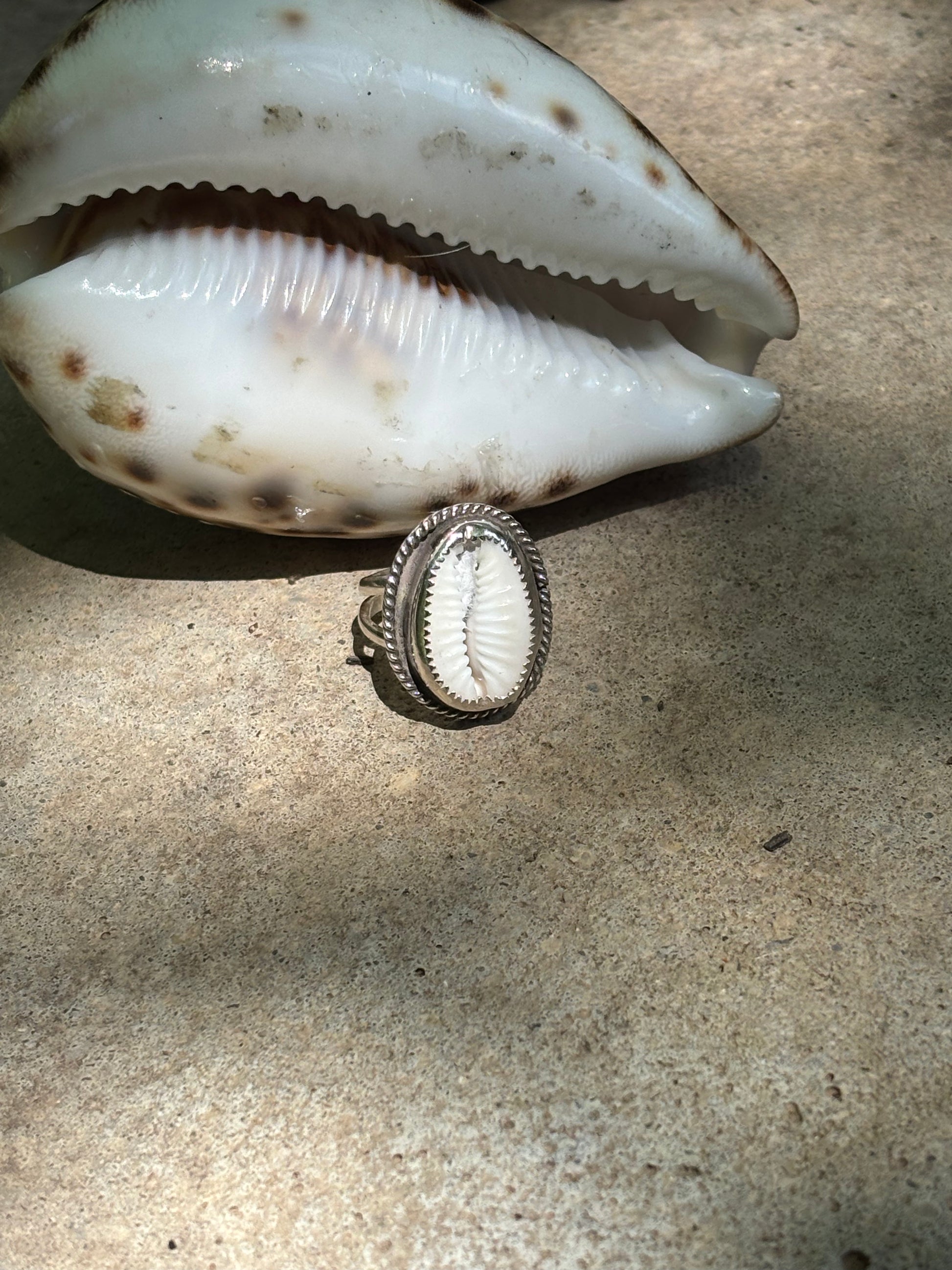 Cowry shell ring - collectionsbytracy.com