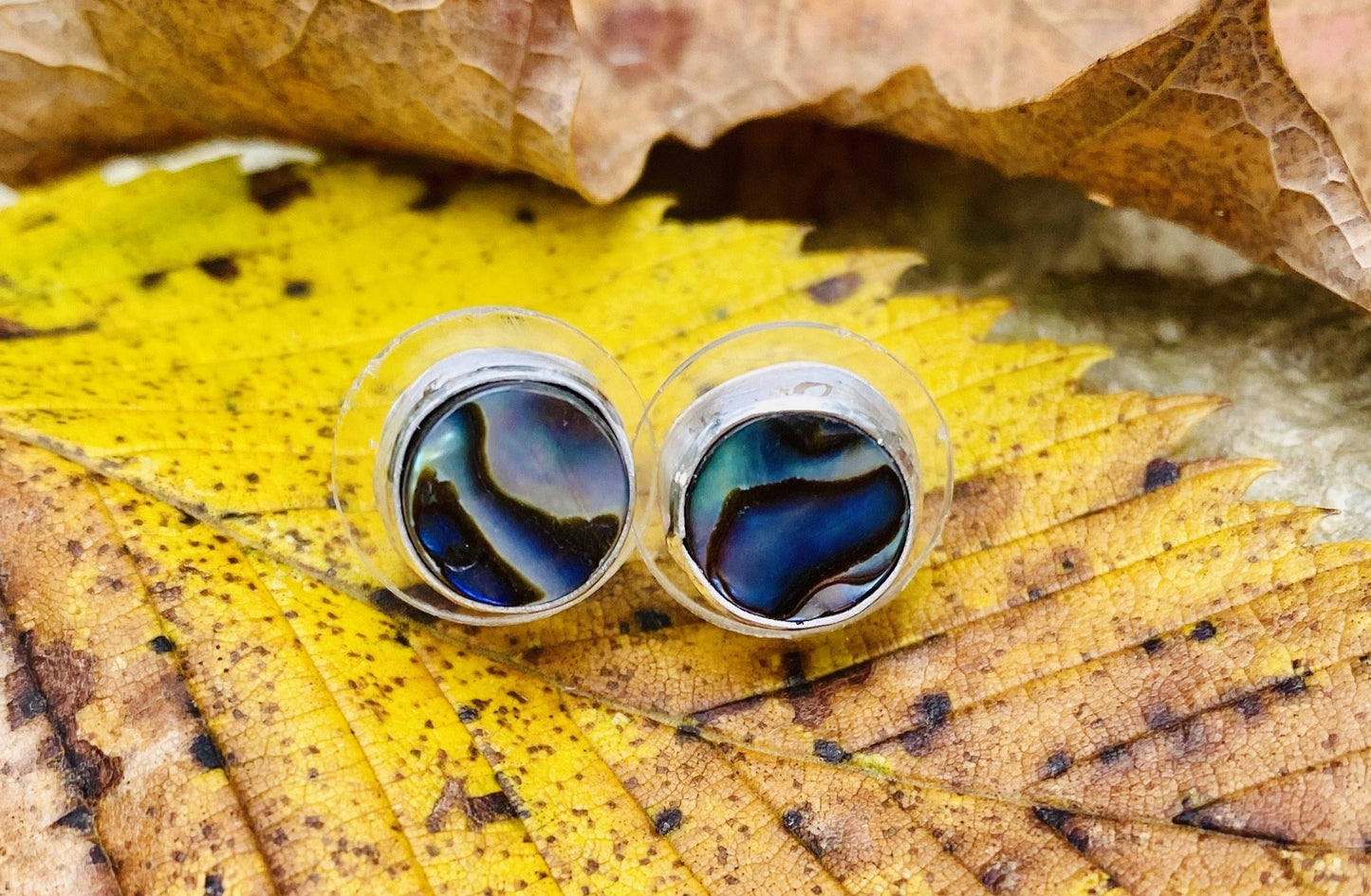 Abalone shell stud earrings - collectionsbytracy.com