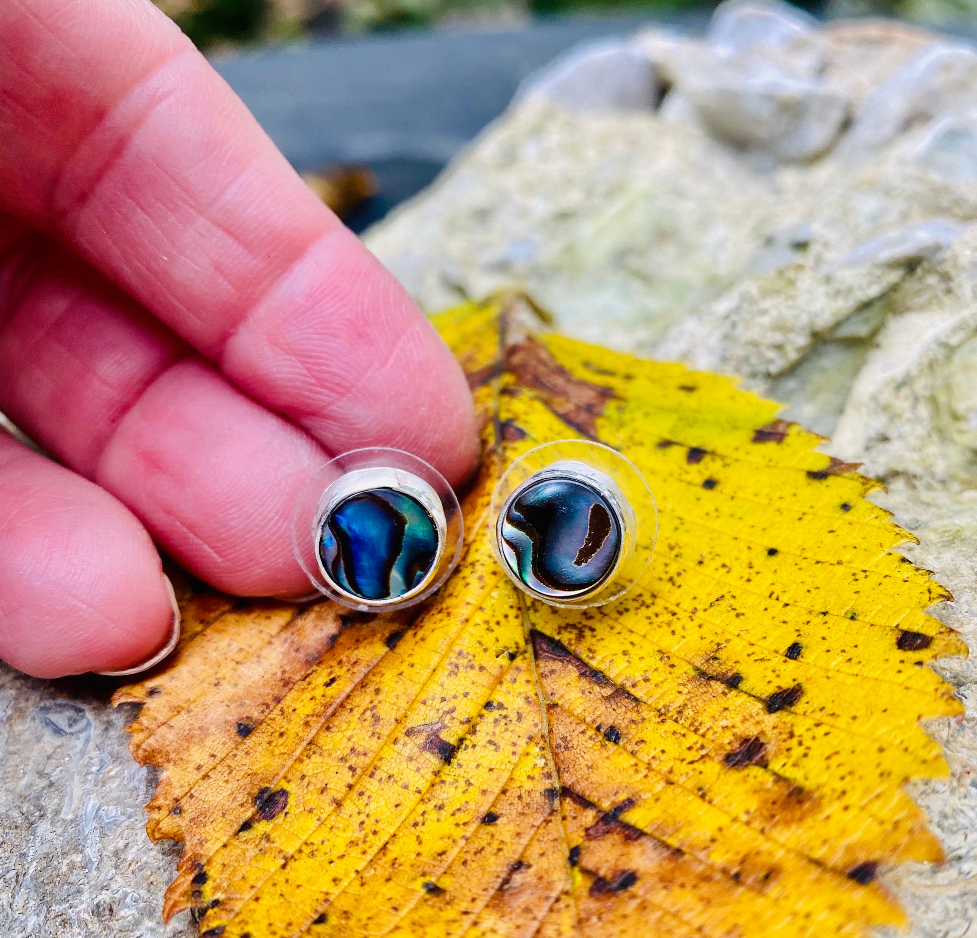 Abalone shell stud earrings - collectionsbytracy.com