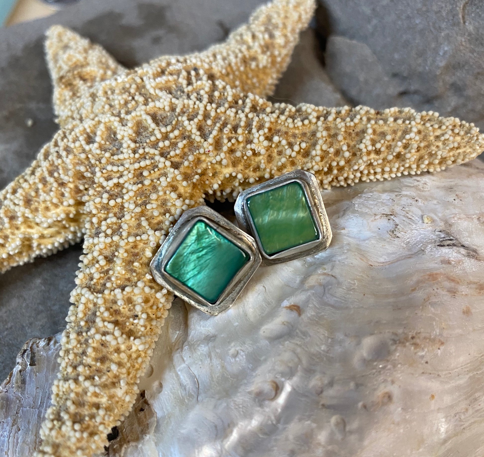 Green shell post earrings - collectionsbytracy.com