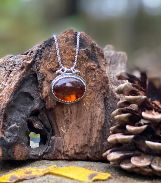 Baltic Amber necklace - collectionsbytracy.com