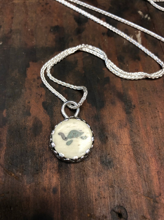 Turtle bone pendant necklace - collectionsbytracy.com